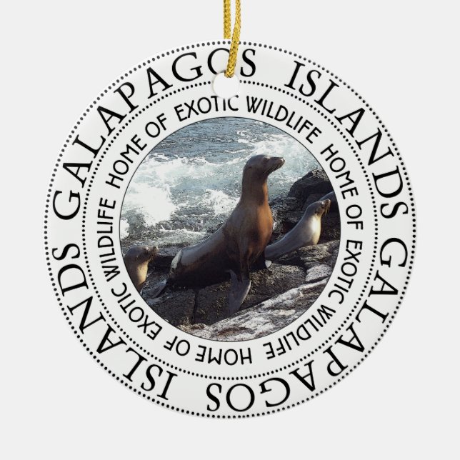 GALAPAGOS SEALS ROUND CERAMIC ORNAMENT (Front)