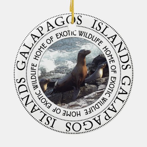 GALAPAGOS SEALS ROUND CERAMIC ORNAMENT