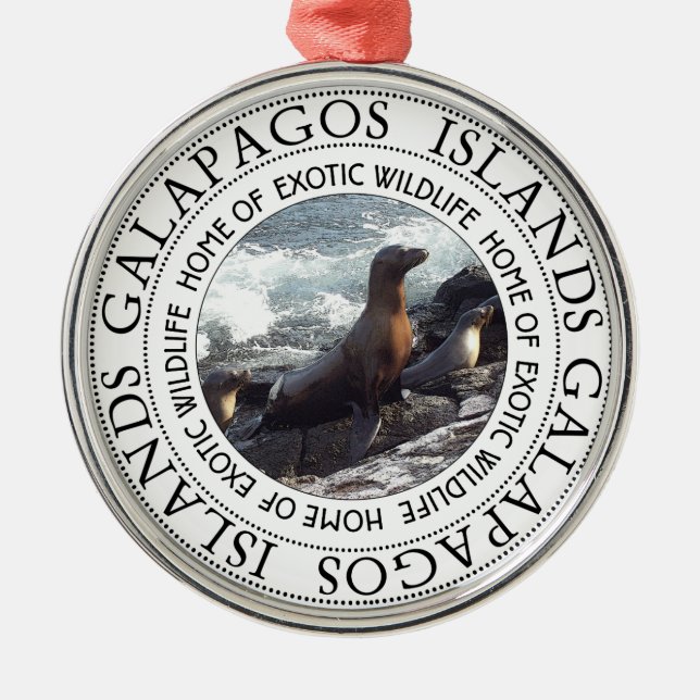 GALAPAGOS SEALS ROUND METAL ORNAMENT (Front)