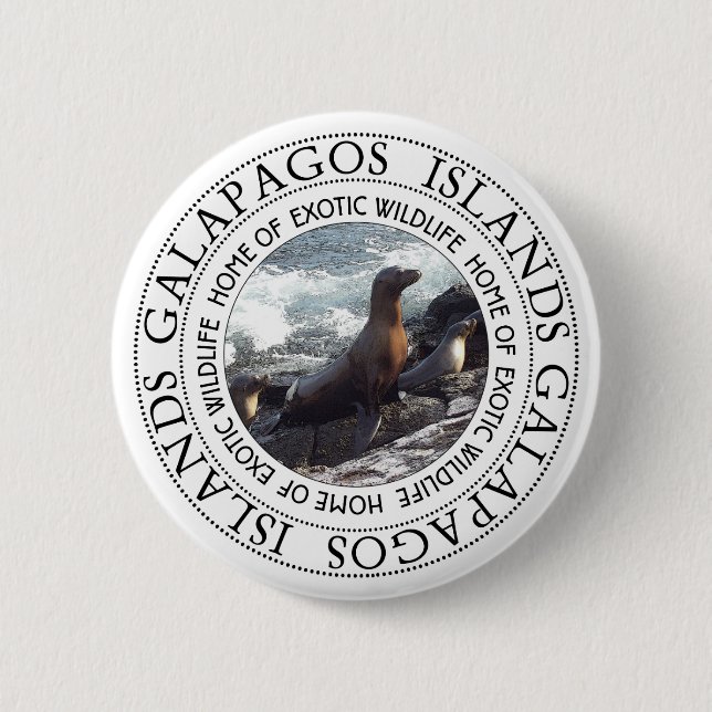 GALAPAGOS SEALS ROUND PINBACK BUTTON (Front)