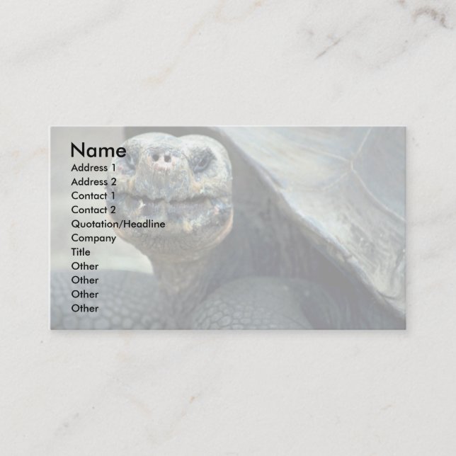 Galapagos Tortoise Business Card (Front)