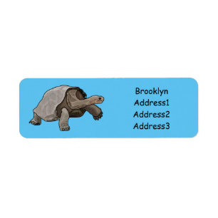 Galapagos tortoise cartoon illustration label