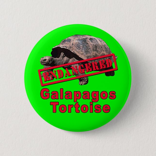Galapagos Tortoise  Endangered Art Tshirts Pinback Button (Front)