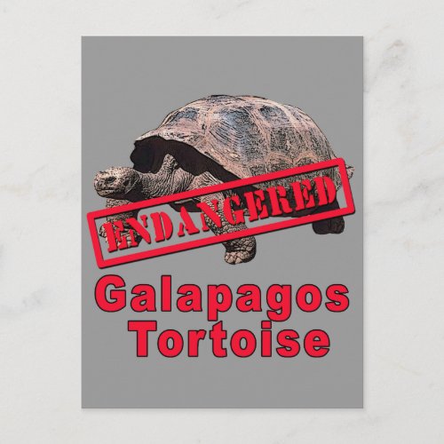 Galapagos Tortoise  Endangered Art Tshirts Postcard