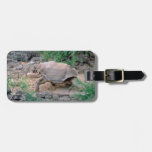 Galapagos Tortoise Luggage Tags at Zazzle