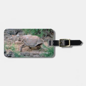 Galapagos Tortoise Luggage Tags by Whitewaves1 at Zazzle