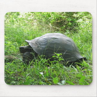 Galápagos Tortoise Mouse Pad