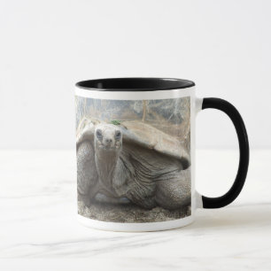 Galapagos Tortoise Mug