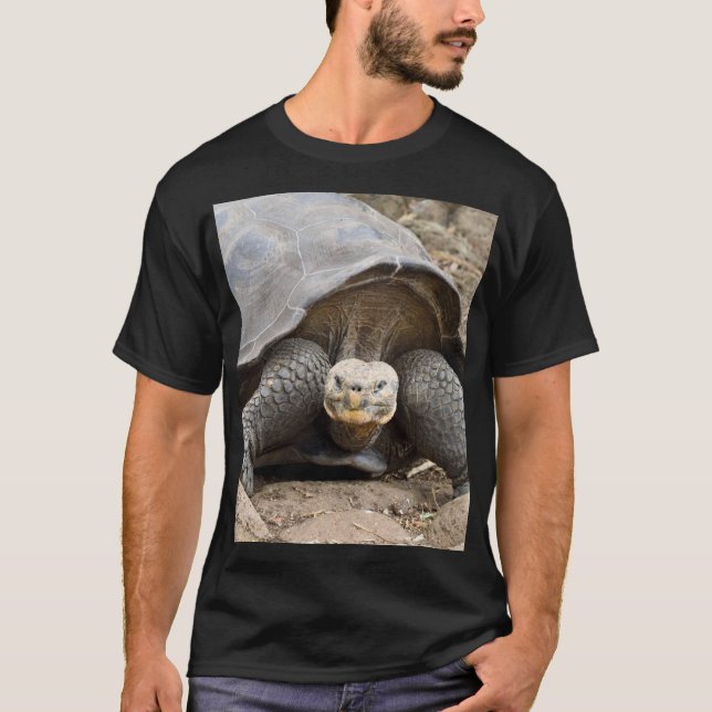 Galapagos Tortoise T-Shirt (Front)