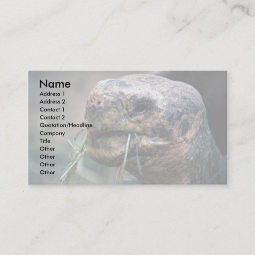 Customizable Galapagos Turtle, Galapagos Islands Business Card
