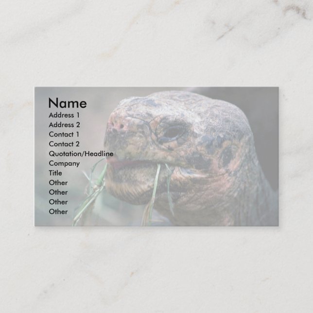 Galapagos Turtle, Galapagos Islands Business Card (Front)
