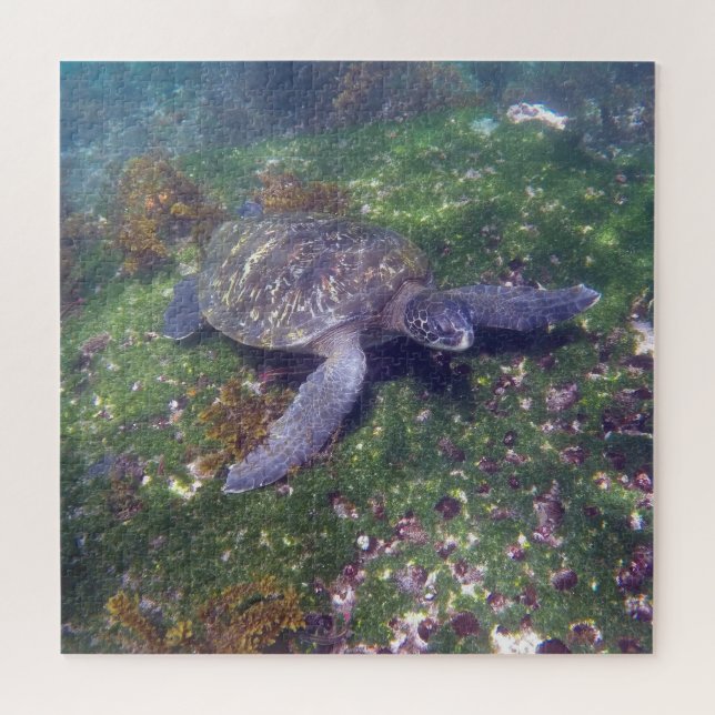 galapagos turtle green jigsaw puzzle (Horizontal)