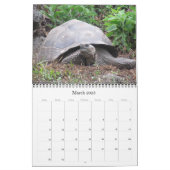 galapagos wildlife 2024 calendar (Mar 2025)