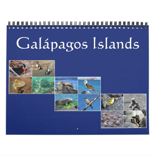galapagos wildlife 2024 calendar