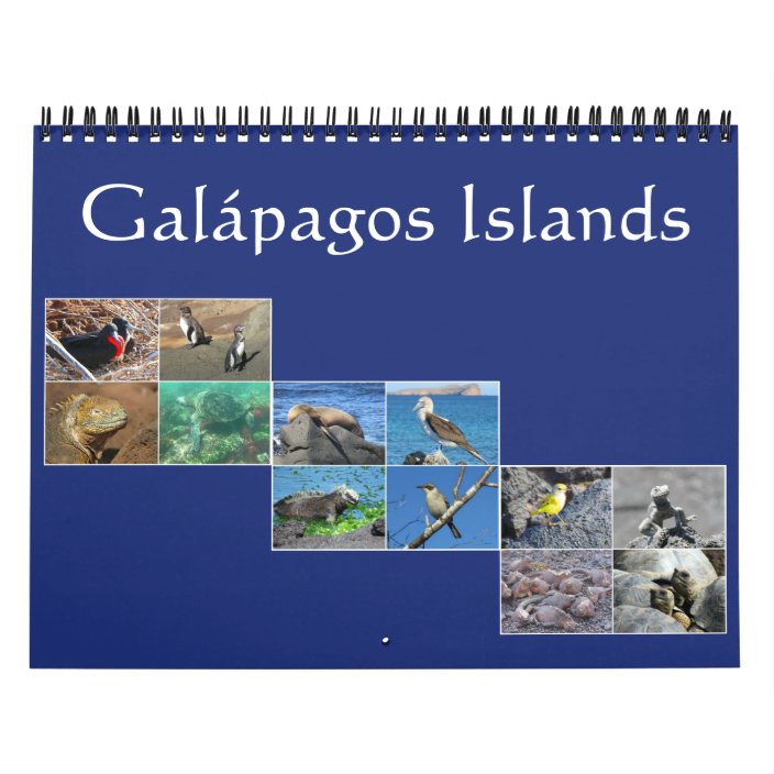 2021 wall calendar of the galapagos islands Galapagos Wildlife Calendar Zazzle Com 2021 wall calendar of the galapagos islands