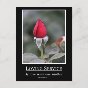 Galatians 5:13 Serve others with love Postcard