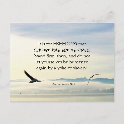 Galatians 51 For FREEDOM Christ has set us free Postcard