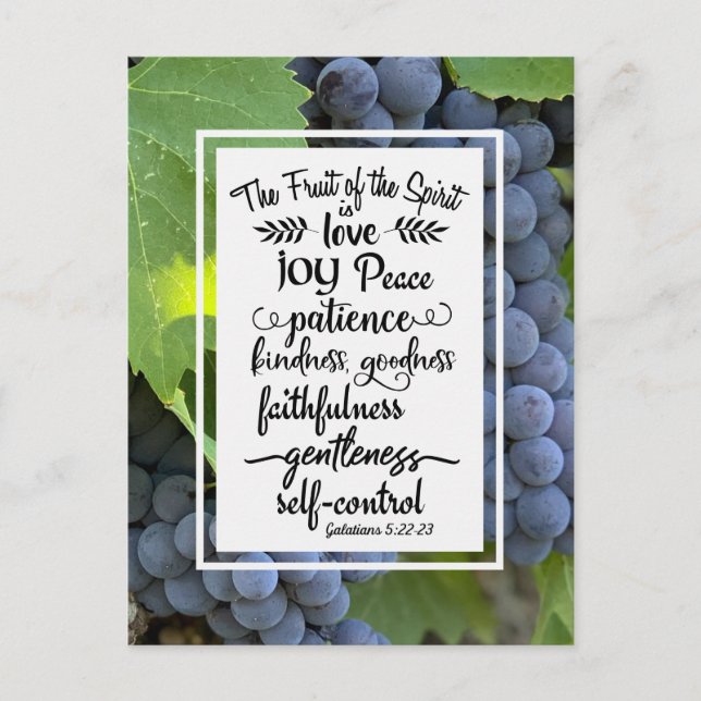 Galatians 5:22-23 The Fruit of the Spirit Postcard (Front)