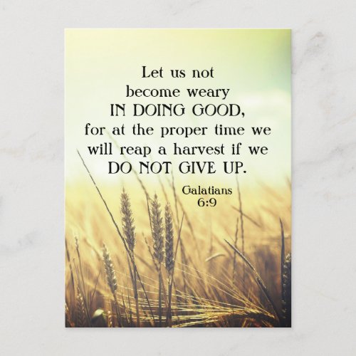 Galatians 69 Do not become weary in doing good  Postcard