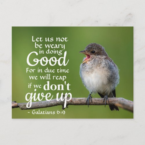 Galatians 69 Let us not be weary in doing good Postcard
