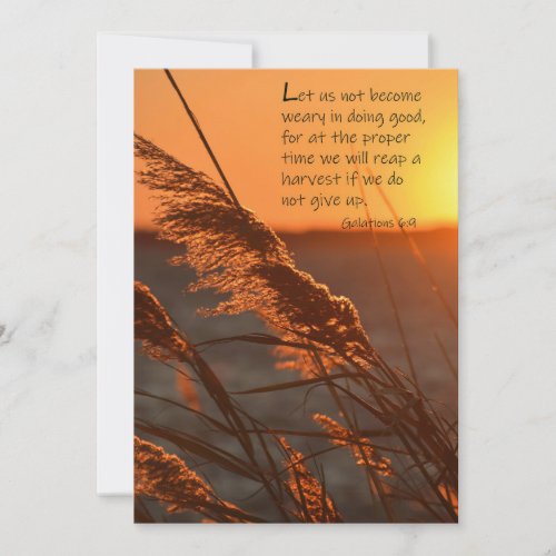 Galatians Sunset 5 x 7 Greeting Card