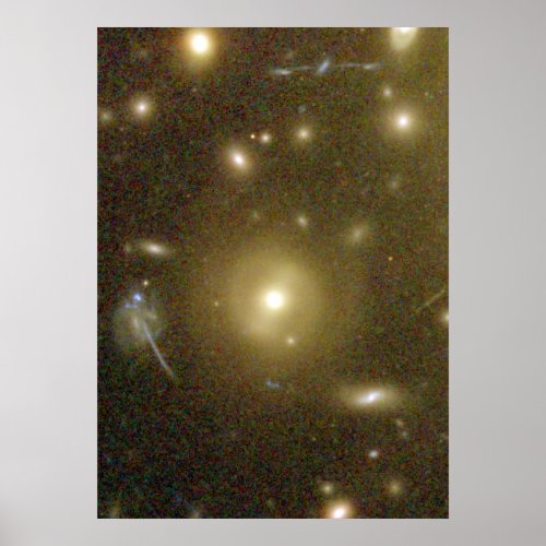 Galaxies Magnified by Galaxy Cluster Abell 1689s Poster