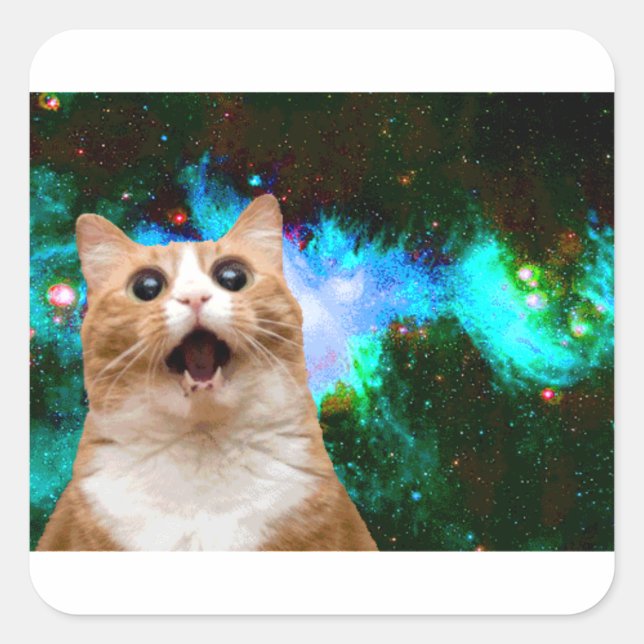 GALAXY CAT SQUARE STICKER (Front)
