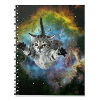 Galaxy Cat Universe Kitten Launch Notebook