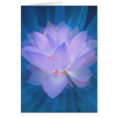 Galaxy Flower (Front)