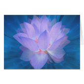 Galaxy Flower (Front Horizontal)