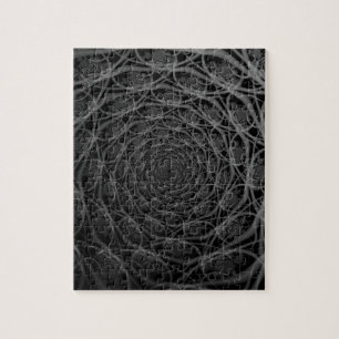 Galaxy of Filaments in Black and White Puzzle