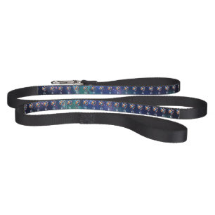 Galaxy Pet Leash