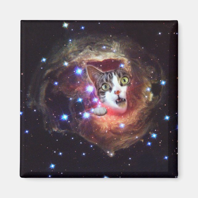 Galaxy Space Cats LOL 2 Inch Square Magnet (Front)