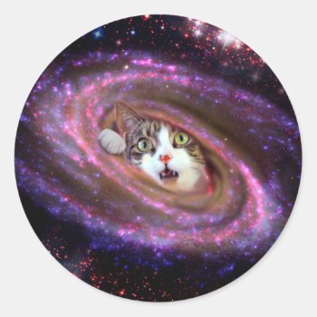 Galaxy Space Cats Lol Funny Sticker by LOL_Cats_And_Friends at Zazzle