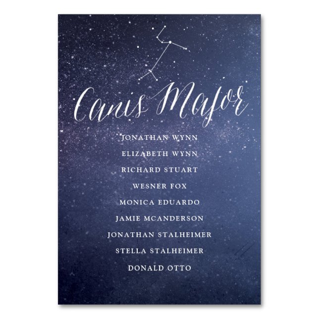 Galaxy Wedding Seating Chart Card Canis Major (Front)