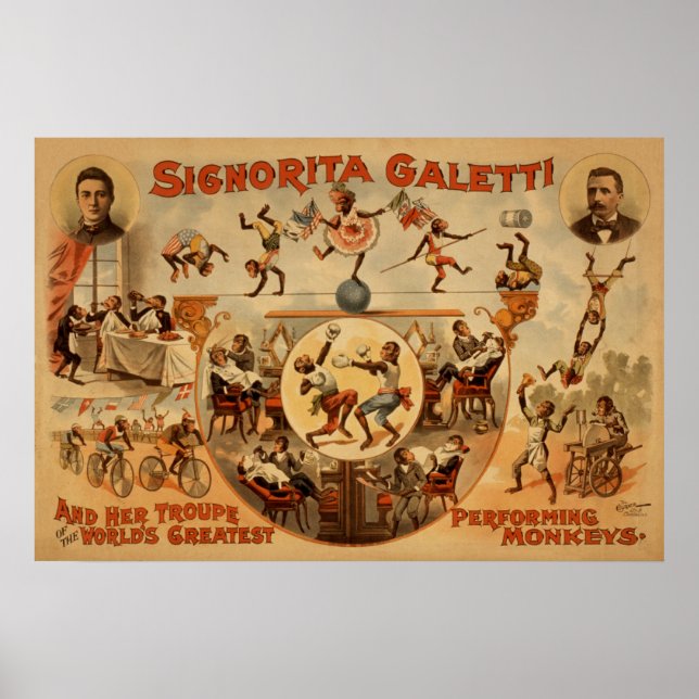 GALETTI Performing Monkeys Act VAUDEVILLE Poster (Front)