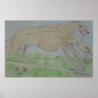 galgo/greyhound poster