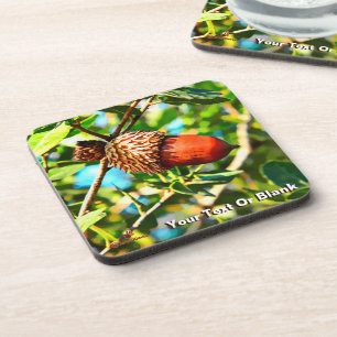 Galilee Acorn Beverage Coaster