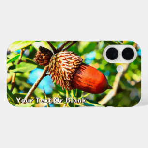 Galilee Acorn iPhone 16 Case