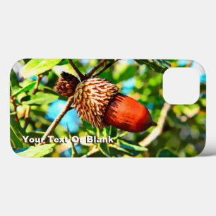 Galilee Acorn iPhone 13 Case