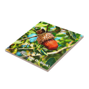 Galilee Acorn Ceramic Tile