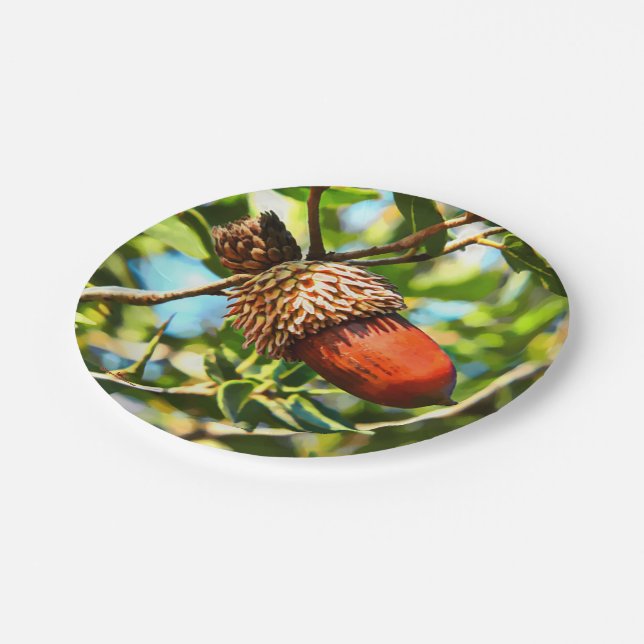 Galilee Acorn Paper Plates (Angled)