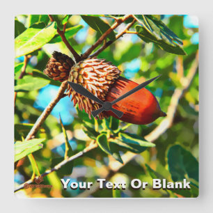 Galilee Acorn Square Wall Clock