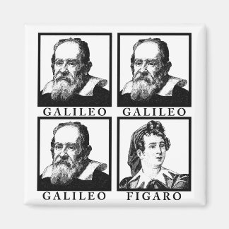 Galileo Figaro BW Magnet