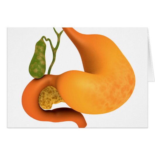 Gall Bladder With Stomach Cards (Front Horizontal)