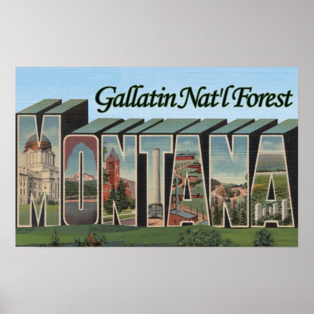 Gallatin Nat'l Forest, Montana Poster (Front)