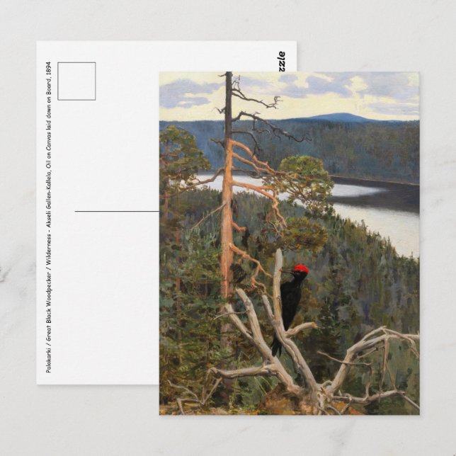 Gallen-Kallela - Great Black Woodpecker 1894 Postcard (Front/Back)