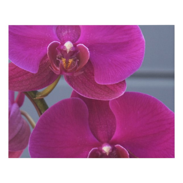 Gallery Wrapped Canvas  – Modern Home Decor (Front)