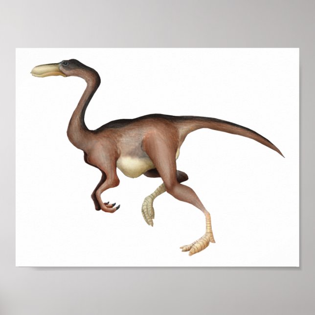 Gallimimus Poster (Front)