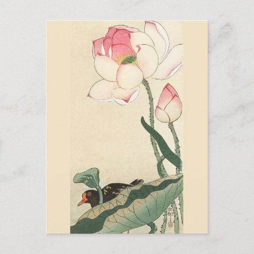 Gallinule with Lotus Flowers by Ohara Koson Postcard